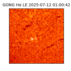 gong - 2025-07-12T01:00:42