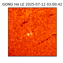 gong - 2025-07-12T03:00:42