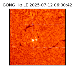 gong - 2025-07-12T06:00:42