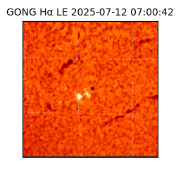 gong - 2025-07-12T07:00:42