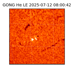 gong - 2025-07-12T08:00:42