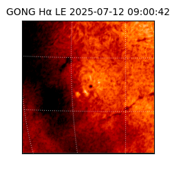 gong - 2025-07-12T09:00:42