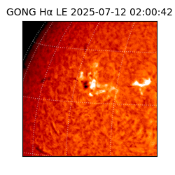 gong - 2025-07-12T02:00:42