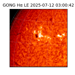 gong - 2025-07-12T03:00:42