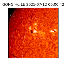 gong - 2025-07-12T06:00:42