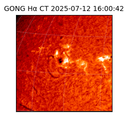 gong - 2025-07-12T16:00:42