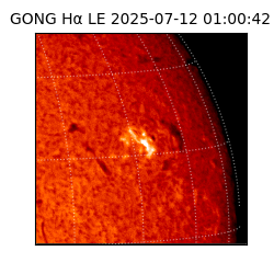 gong - 2025-07-12T01:00:42