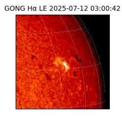 gong - 2025-07-12T03:00:42