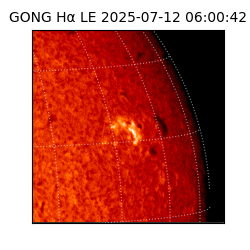 gong - 2025-07-12T06:00:42
