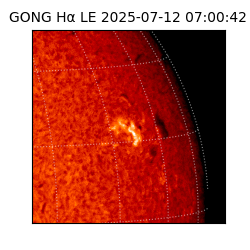 gong - 2025-07-12T07:00:42