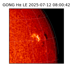 gong - 2025-07-12T08:00:42