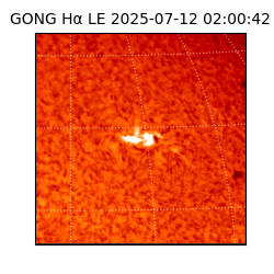 gong - 2025-07-12T02:00:42