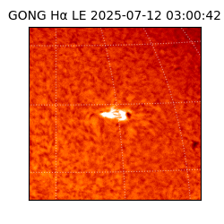 gong - 2025-07-12T03:00:42