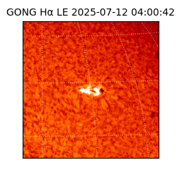 gong - 2025-07-12T04:00:42