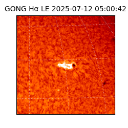 gong - 2025-07-12T05:00:42