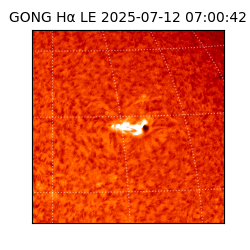 gong - 2025-07-12T07:00:42