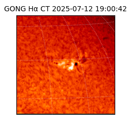 gong - 2025-07-12T19:00:42