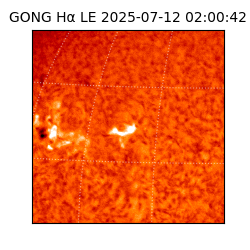 gong - 2025-07-12T02:00:42