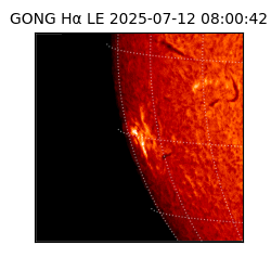 gong - 2025-07-12T08:00:42
