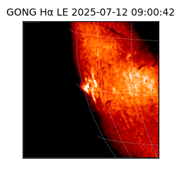 gong - 2025-07-12T09:00:42