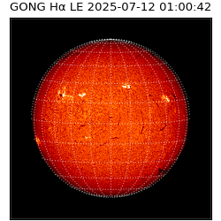 gong - 2025-07-12T01:00:42