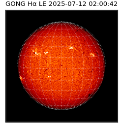 gong - 2025-07-12T02:00:42