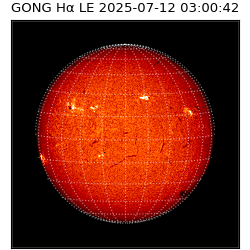 gong - 2025-07-12T03:00:42
