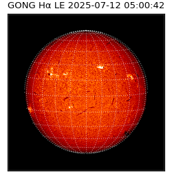 gong - 2025-07-12T05:00:42