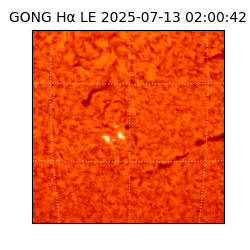 gong - 2025-07-13T02:00:42