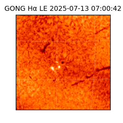 gong - 2025-07-13T07:00:42