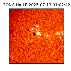 gong - 2025-07-13T01:02:42