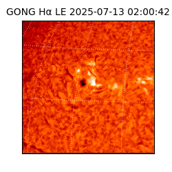 gong - 2025-07-13T02:00:42