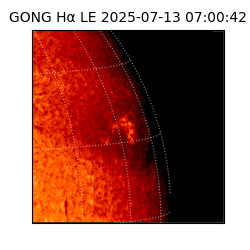 gong - 2025-07-13T07:00:42