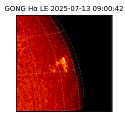 gong - 2025-07-13T09:00:42