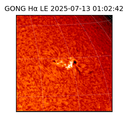 gong - 2025-07-13T01:02:42