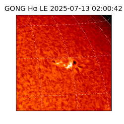 gong - 2025-07-13T02:00:42