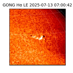 gong - 2025-07-13T07:00:42