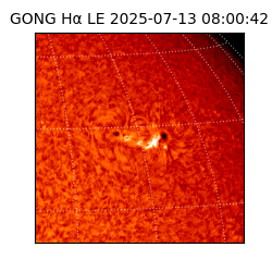 gong - 2025-07-13T08:00:42