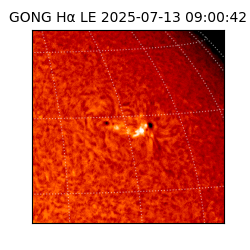 gong - 2025-07-13T09:00:42