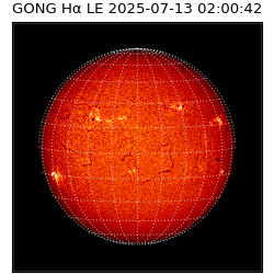gong - 2025-07-13T02:00:42