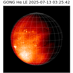 gong - 2025-07-13T03:25:42