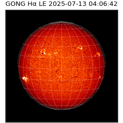 gong - 2025-07-13T04:06:42