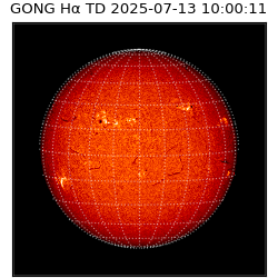 gong - 2025-07-13T10:00:11