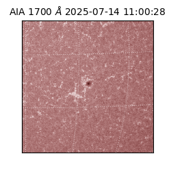 saia - 2025-07-14T11:00:28.717000