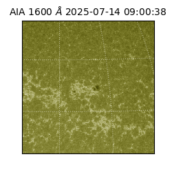 saia - 2025-07-14T09:00:38.125000