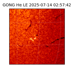 gong - 2025-07-14T02:57:42