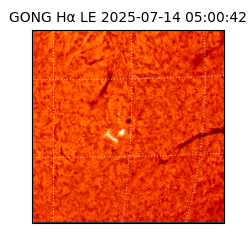 gong - 2025-07-14T05:00:42