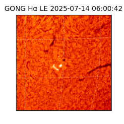 gong - 2025-07-14T06:00:42