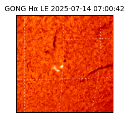 gong - 2025-07-14T07:00:42