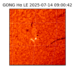 gong - 2025-07-14T09:00:42